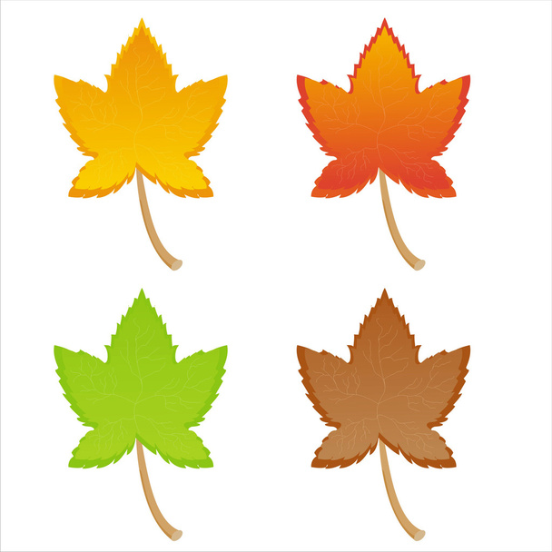 kleurrijke herfstbladeren - Vector, afbeelding