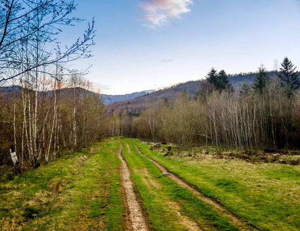 a forest road and landscape of the carpathian mountains and the peak of Parashka mount on background, Skole Beskids National Nature Park, Lviv region of Ukraine - Фото, изображение
