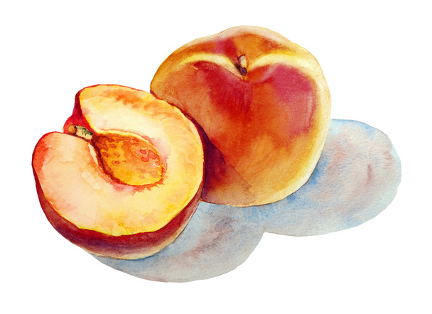 Ripe peach fruit watercolor on white background cutout - Photo, Image