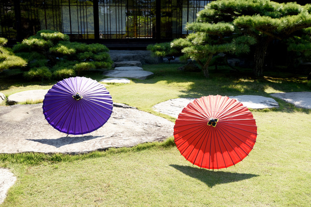 Japanese traditional umbrella - Photo, Image
