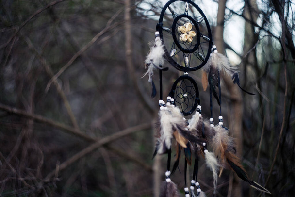 Álomfogó az erdőben, spirituális indián mágikus eszköz.  - Fotó, kép