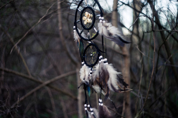 Dreamcatcher dans la forêt, outil magique natif spirituel américain.  - Photo, image