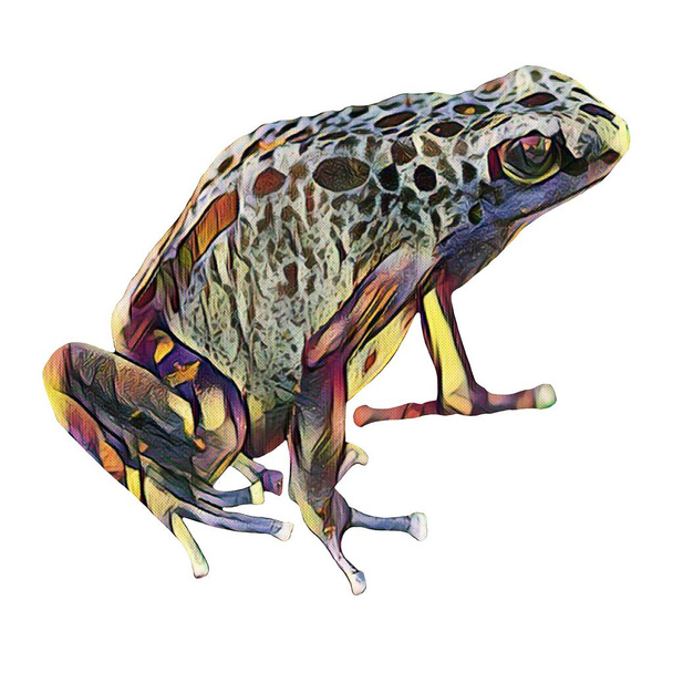 Easy to cut, hand drawn frog on a white background for your creativity - Photo, Image