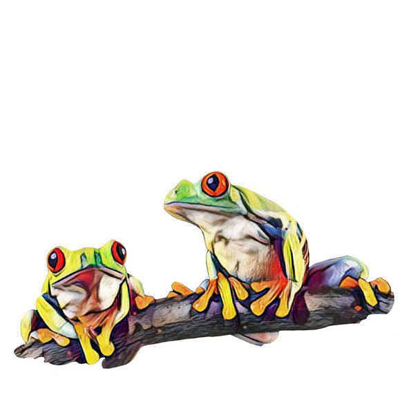 Easy to cut, hand drawn frog on a white background for your creativity - Photo, Image