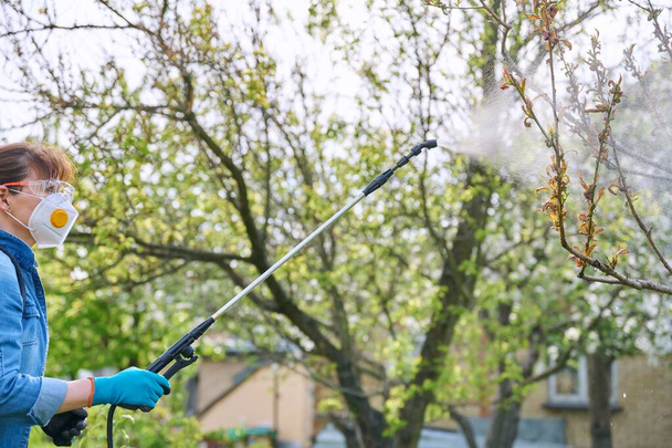 Woman with backpack garden spray gun under pressure handling peach tree - Valokuva, kuva