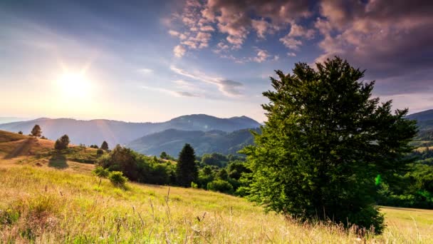 Wonderful Forest and grassy meadow at sunset. The golden sun touches the horizon, the end of the day. Shooting during the golden hour. Country rest on the Synevyr Pass, Carpathians, Ukraine. - Imágenes, Vídeo