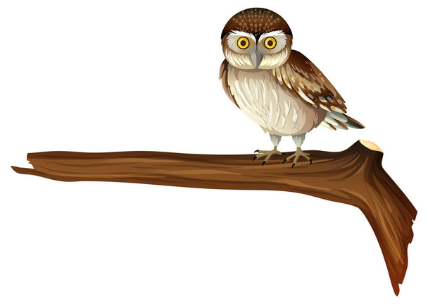 Owl standing on tree branch in cartoon style illustration - Vector, Image