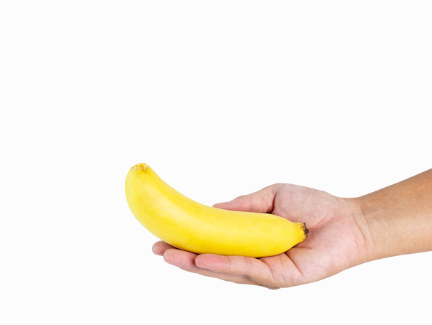 Рука тримає 1 банан, золотисто-жовтий, стиглий, готовий до їжі, багатий поживними речовинами Відмінний ефект знімається в студії на білому тлі з відсічними контурами та ізольованим простором для копіювання
. - Фото, зображення