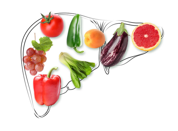 Drawing of liver with healthy fresh vegetables and fruits on white background - Photo, Image