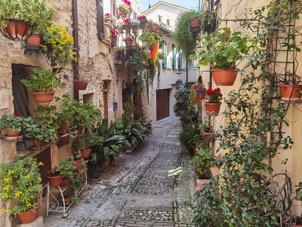 Spring view of Spello and its corners and streets of the beautiful Italian cities of Italy - Fotografie, Obrázek