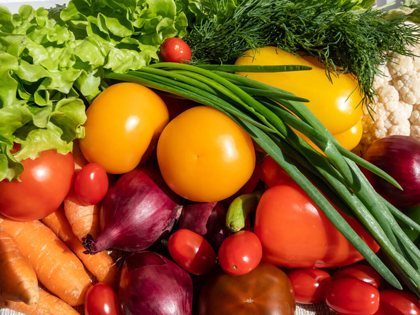 A pile of fresh, healthy and colorful vegetables in bright sunlight with white brick wall in background. Tomatoes, onions, carrots, peppers, cauliflower, salad, dill and greens on table - Foto, Imagen