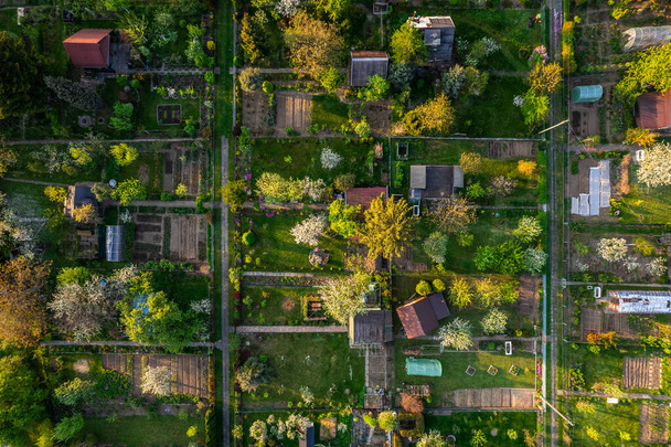 Urban Plot Gardens at Spring. City Landscape in Tarnow Poland. Drone View. - Foto, Imagen