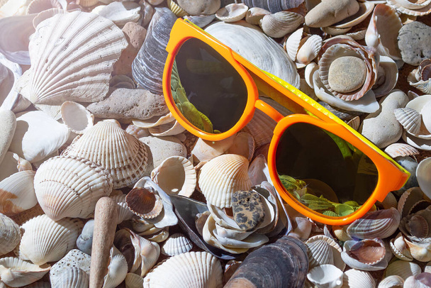 sunglasses on seashells beach summer.  - Zdjęcie, obraz