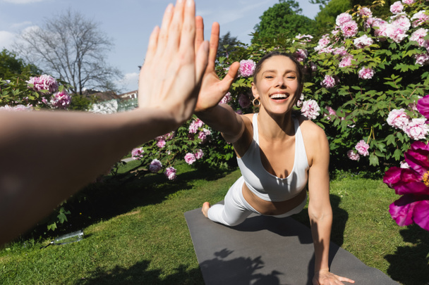 cheerful woman giving high five to friend while practicing plank pose in park - Photo, image