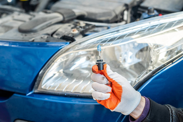 maschio guanto mano tiene una lampada gelagon sullo sfondo di un faro auto. concetto di riparazione auto - Foto, immagini