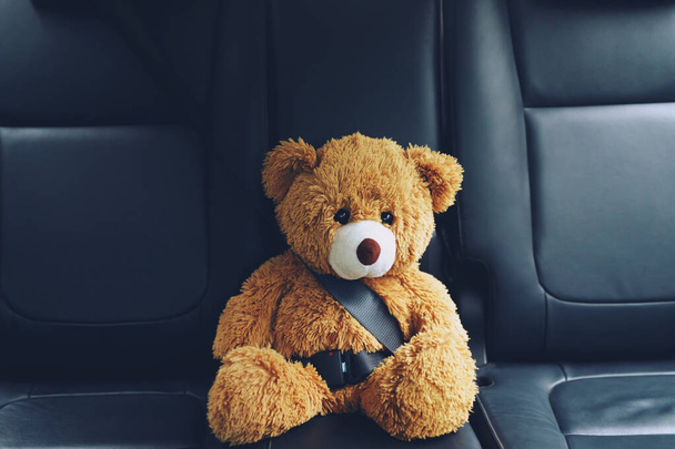 Brown teddy bear wearing car seat belt - Fotoğraf, Görsel