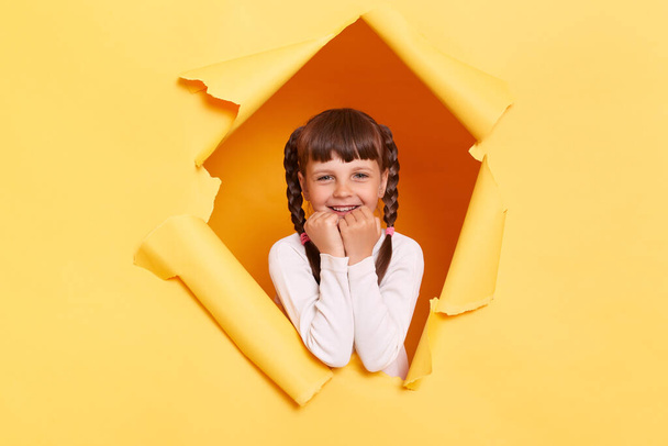 Portrait of adorable charming little girl with braids wearing casual shirt looking through torn hole in yellow paper, looking at camera with amazed eyes, keeps fists under chin. - Photo, Image