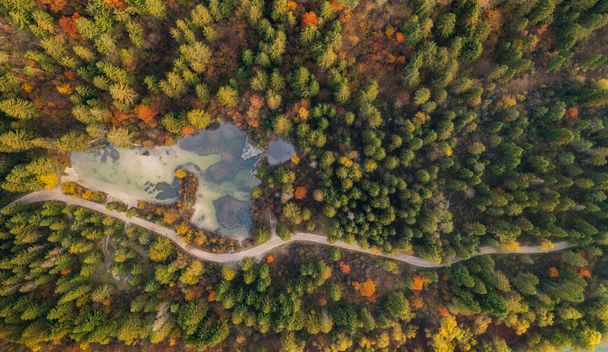 Calma mañana de otoño junto al río Sava en Eslovenia. La primera luz del sol golpea los árboles mientras la niebla rueda a través del bosque.  - Foto, imagen