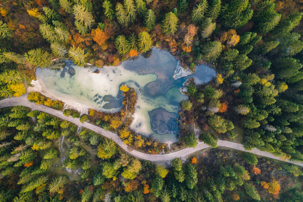 Calma mañana de otoño junto al río Sava en Eslovenia. La primera luz del sol golpea los árboles mientras la niebla rueda a través del bosque.  - Foto, imagen