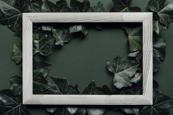 Green ivy leaves and wooden frame. Nature concept background. Minimal style. Top view. Flat lay. - Photo, Image