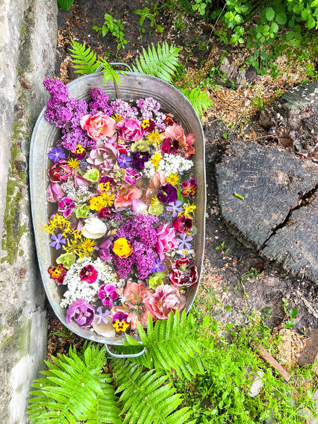 Rustik tina de estaño con muchas flores de colores. Ideas de jardín - Foto, imagen