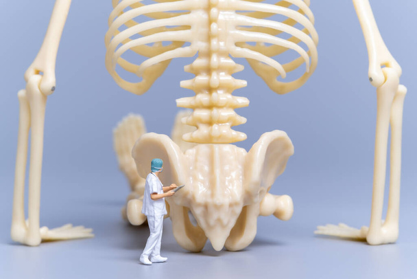 Miniature people Doctor with a giant human bone on a grey background, Science and Medical Concept - Photo, Image
