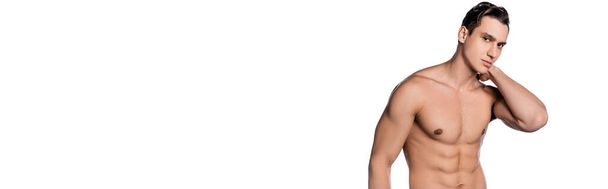 shirtless man posing with hand behind neck and looking at camera isolated on white, banner - Foto, imagen