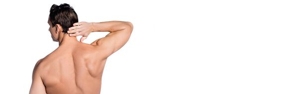 back view of shirtless muscular man touching neck isolated on white, banner - Fotografie, Obrázek