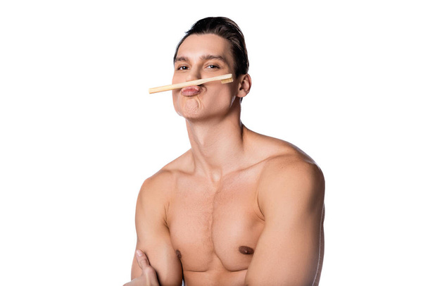 shirtless brunette man grimacing with toothbrush isolated on white - 写真・画像