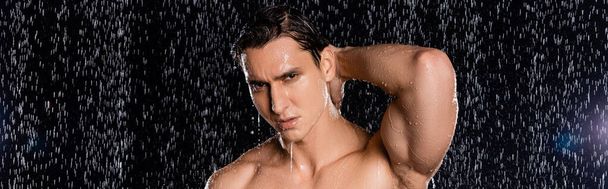homem molhado com ombros nus posando com a mão atrás da cabeça no fundo preto, banner - Foto, Imagem