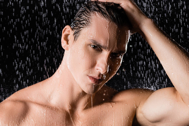 mokry mężczyzna z gołymi ramionami patrząc na kamerę pod prysznicem na czarnym tle - Zdjęcie, obraz