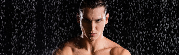 hombre con hombros desnudos mirando a la cámara bajo el agua gotas sobre fondo negro, pancarta - Foto, Imagen
