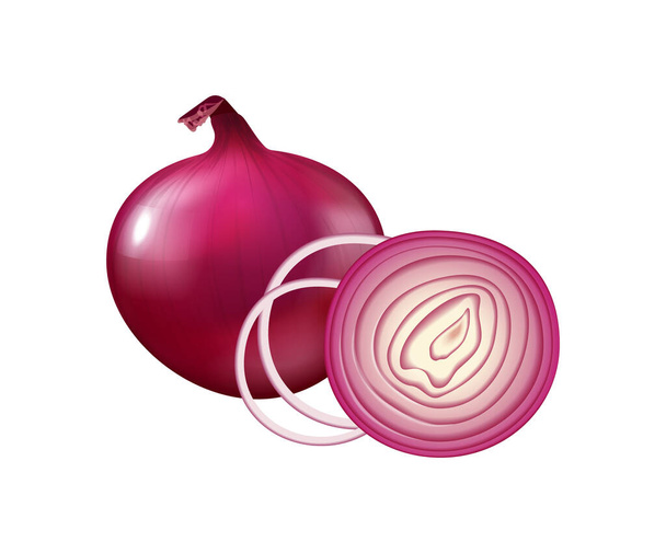 Realistic Onion Vegetable Composition - Vektör, Görsel