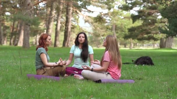 Tres amigas caucásicas maduras en la naturaleza haciendo un retiro de yoga espiritual. - Metraje, vídeo