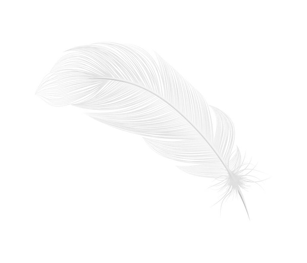 Pure Feather Realistic Composition - Vektör, Görsel
