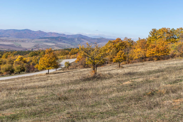 Paisaje otoñal de la montaña Cherna Gora (Monte Negro), Región de Pernik, Bulgaria
 - Foto, Imagen