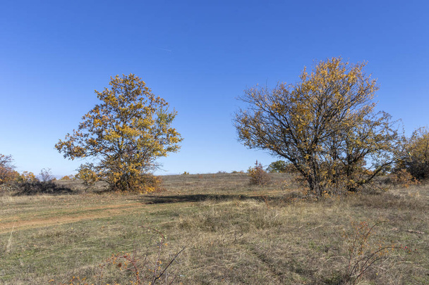 チェルナ強羅 (モンテ黒人) 山、ブルガリア、ペルニク市地域の秋の風景 - 写真・画像