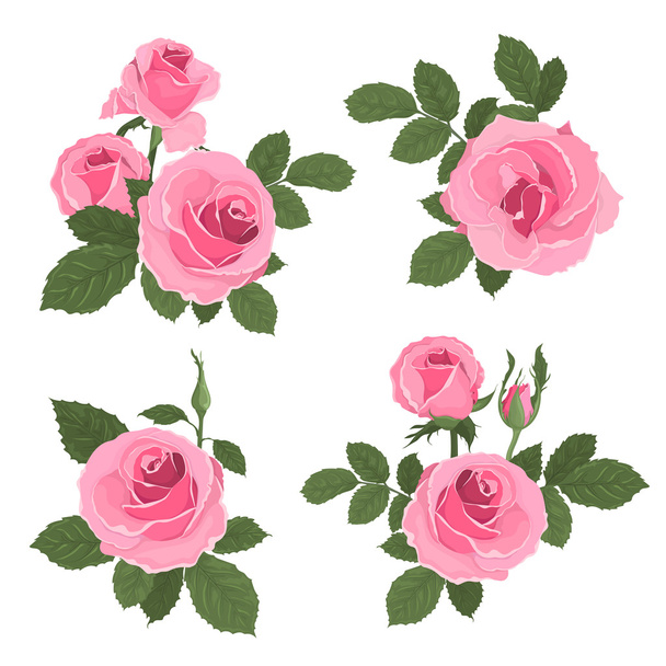 Ροζ τριαντάφυλλα σε μπουκέτο με φύλλα - Διάνυσμα, εικόνα