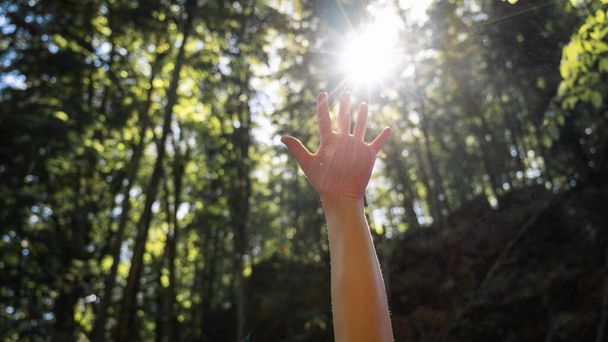 Yüzsüz bir resim, güneş ışığını örten bir adam eli, ellerimde titreyen bir güneş, güneşi örten bir insan eli görüntüsü, parkın ya da ormanın arka planında izole edilmiş parlak güneş ışınları. Doğa konsepti. - Fotoğraf, Görsel