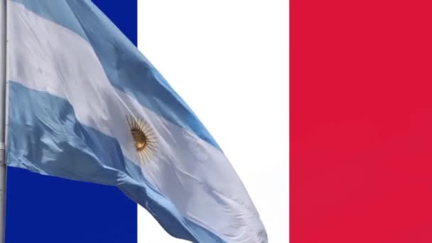 Vlaggen van Argentinië en Frankrijk, vriendschapsconcept en internationale betrekkingen tussen landen. - Video