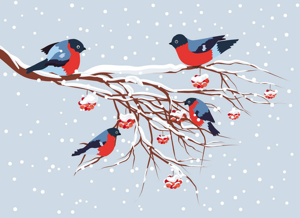 Bullfinch sitting on snow-covered branch of mountain ash. Christmas and New Year design greeting card - Wektor, obraz