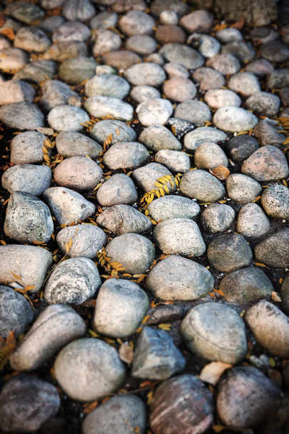 Большие камни, осенние листья
 - Фото, изображение