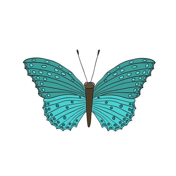 cartoon butterfly on white background - Διάνυσμα, εικόνα