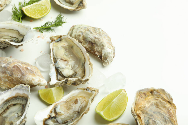 Concept of seafood, oysters, space for text - Photo, Image