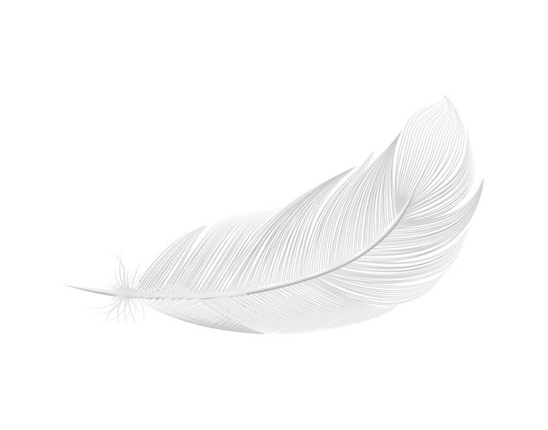 Realistic Pure Feather Composition - Vektor, obrázek