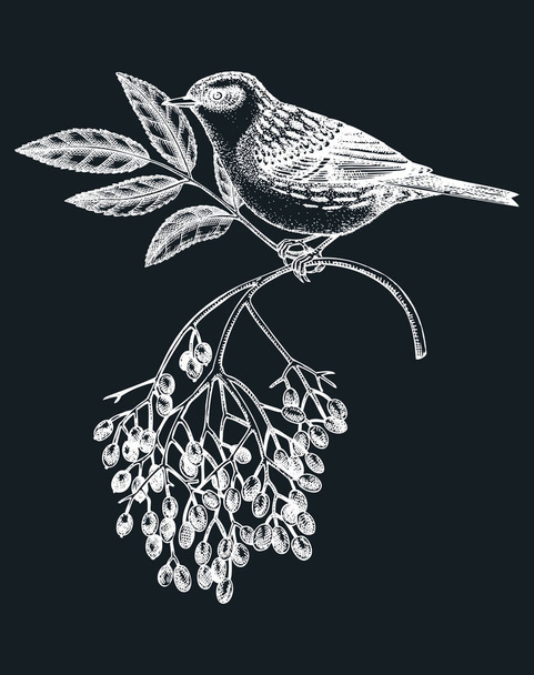 Hand-sketched bird with autumn flowers illustration on chalkboard. Fall design with birds, florals, geometric shapes, and abstract elements. Can be used for print, poster, wall art, social media - Wektor, obraz