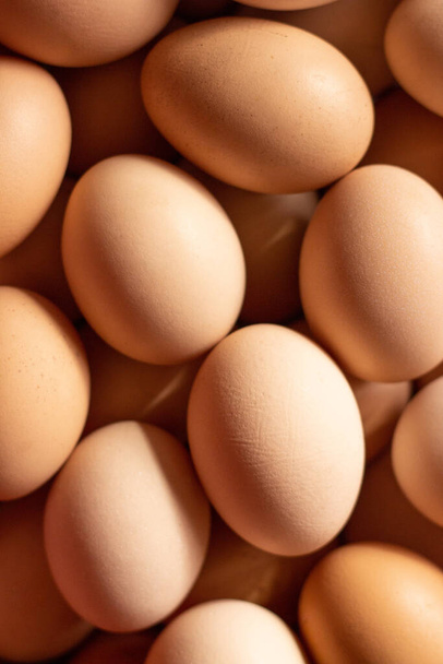 Ωμά αυγά κοτόπουλου βιολογική τροφή για καλή υγεία - εικόνα. Πολλά φρέσκα αυγά κοτόπουλου κοντά. Υψηλής ποιότητας φωτογραφία - Φωτογραφία, εικόνα