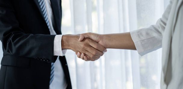 The businessmen and businesswoman shake hands after the meeting was successful and agreed upon. - Foto, Imagem