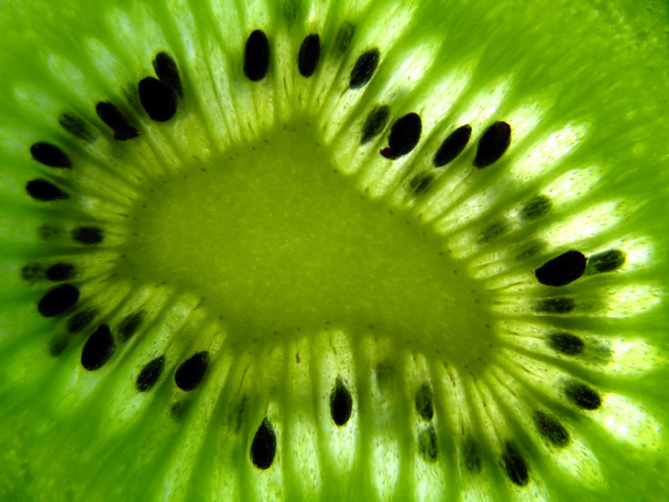 Kiwi fruit - Photo, Image