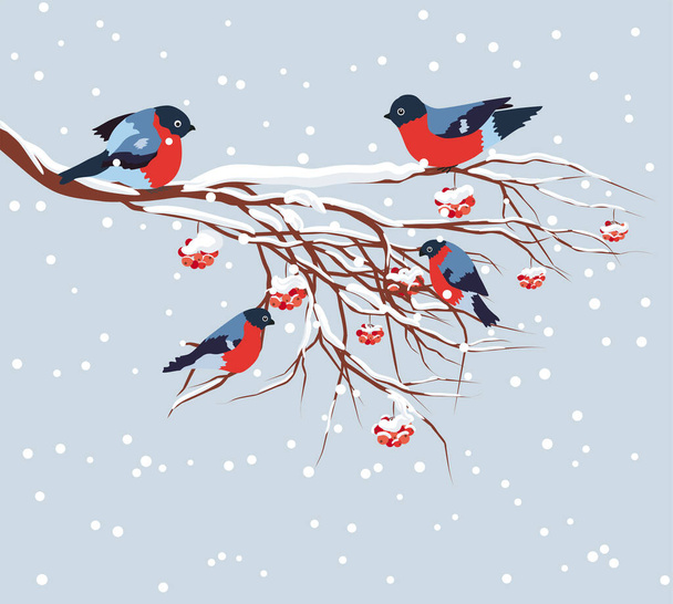 Bullfinch sitting on snow-covered branch of mountain ash. Christmas and New Year design greeting card - Вектор,изображение